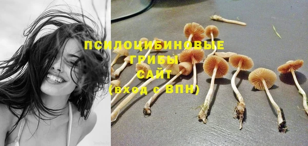 ешки Абдулино