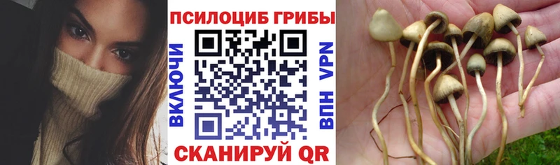 Галлюциногенные грибы мицелий  цена наркотик  Туапсе 
